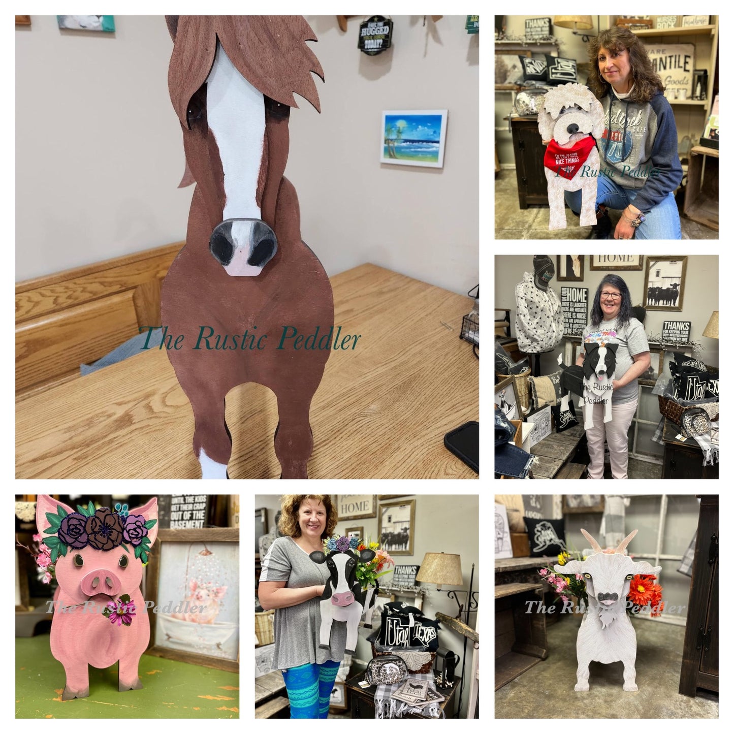 Pet Planter DIY Workshop 6/4/22